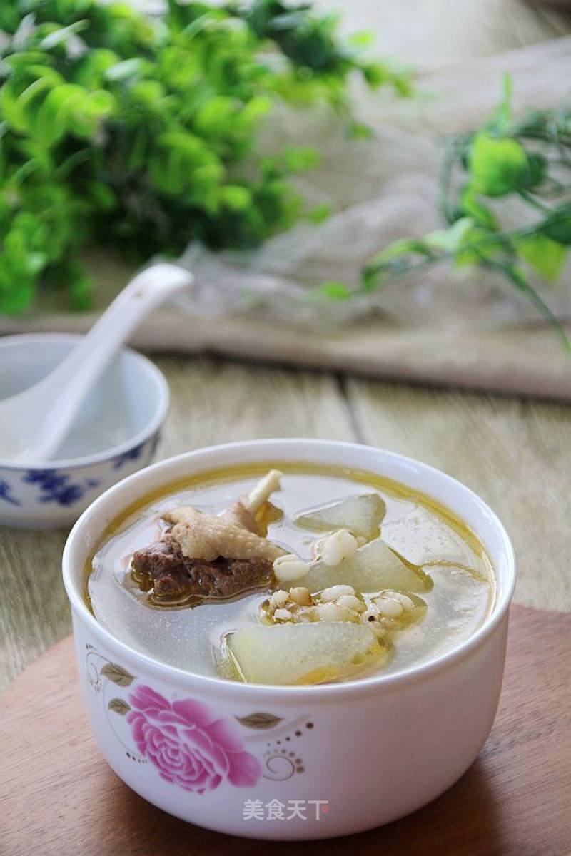 Winter Melon and Barley Duck Soup recipe