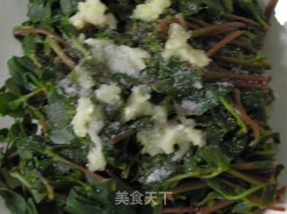 【summer Cold Dishes】cold Portulaca recipe