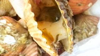 Not Enough Small Seafood---steamed Scallops recipe