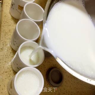 Homemade Yogurt recipe