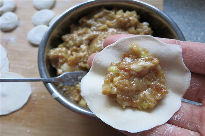 Onion Pork Dumplings recipe