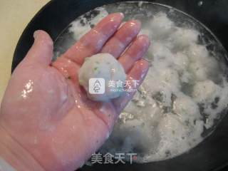 Grass Carp Ball recipe