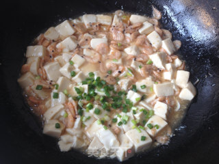 Braised Tofu with Krill recipe