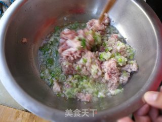 Northeast Sauerkraut Pork Dumplings recipe