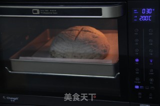 Whole Wheat Butterwood Soft European Buns recipe
