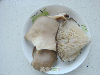 Refreshing Oyster Mushroom with Garlic recipe