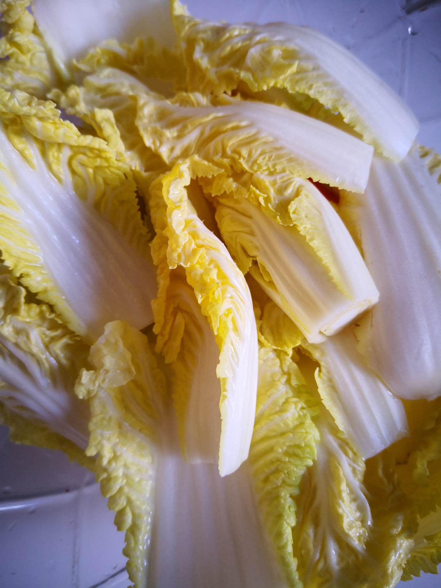 Baby Cabbage Fried Potato Chips recipe