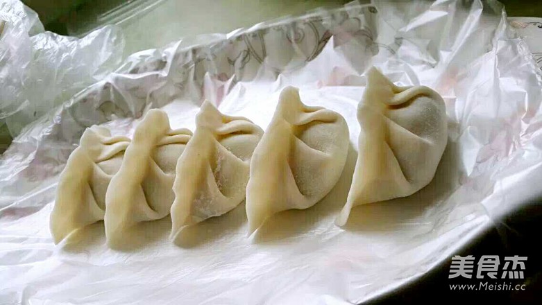 Cilantro Beef Dumplings recipe