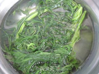 Willow Artemisia Sprouts---northeast Dipping Pickles recipe