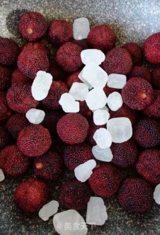 Canned Bayberry Syrup recipe