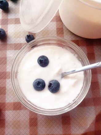 Delicious Yogurt recipe