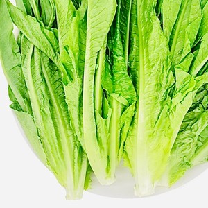 Reduced Fat and Refreshing Lettuce recipe