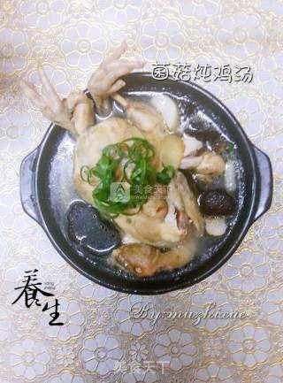 Mushroom Chicken Soup recipe