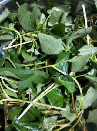 【sichuan】houttuynia Cordata recipe