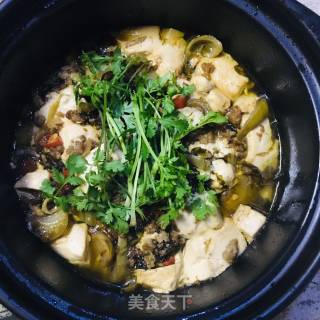 Sauerkraut Tofu Pot recipe