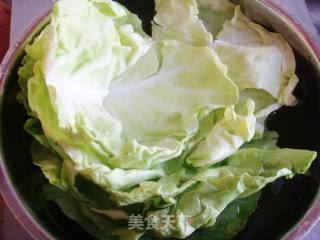【flower Cabbage】-tomato Sauce and Tofu Cabbage Roll recipe