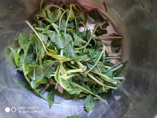 Fried Toon Fish with Wild Vegetables recipe