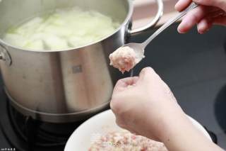 Yuanma's Private House-winter Melon Meatball Soup recipe