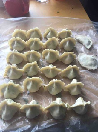 Chinese Cabbage and Mushroom Dumplings recipe