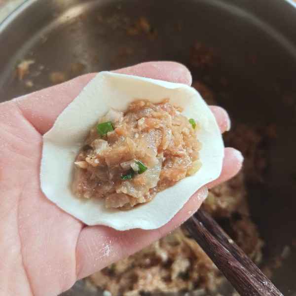 Pork and White Radish Dumplings recipe