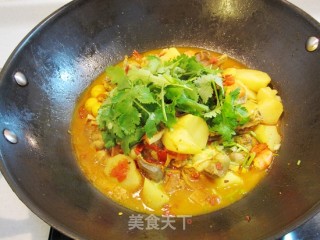 Curry Chicken with Yam and Tofu-with Homemade Curry recipe