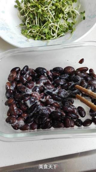 Radish Sprouts Mixed with Black Natto recipe