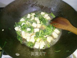 Garland Chrysanthemum Tofu Pot recipe