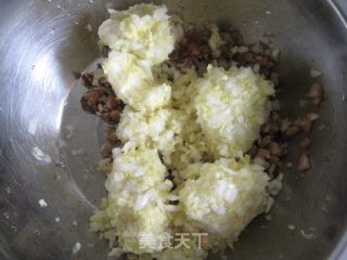 Baby Vegetable Diced Meat Pie recipe