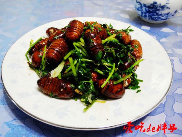 Coriander Pupa recipe