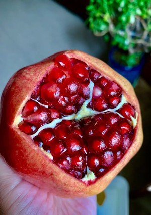 Pomegranate Wine recipe