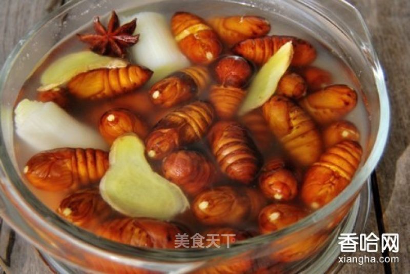 Boiled Silkworm Chrysalis in Brine recipe