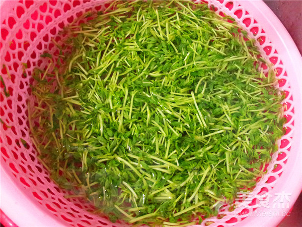 Cold Pea Sprouts recipe