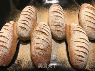 Whole Wheat Bread recipe