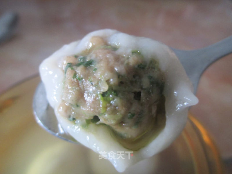 Fresh Meat Dumplings recipe