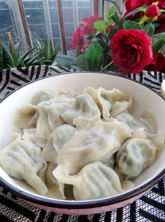 Meat Dumplings recipe