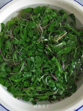 Stir-fried Radish Seedlings recipe