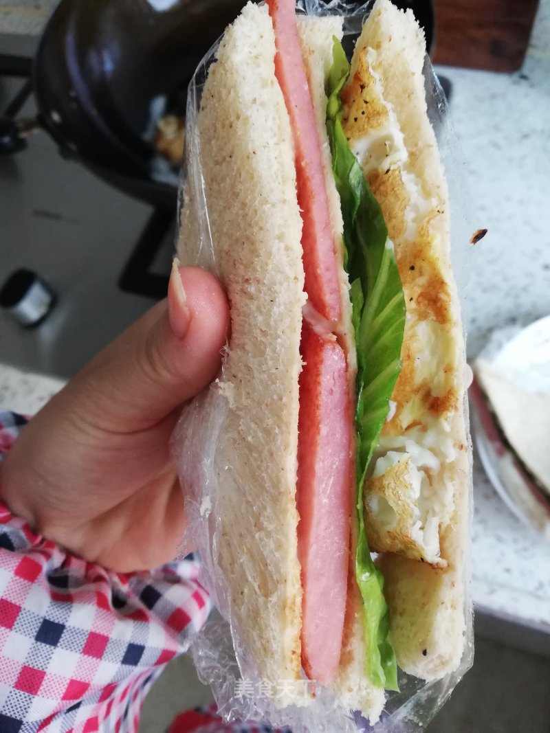 Home-cooked Sandwich recipe