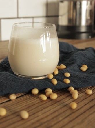 Homemade Fast Soy Milk recipe