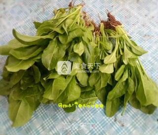 Garlic Guanda recipe