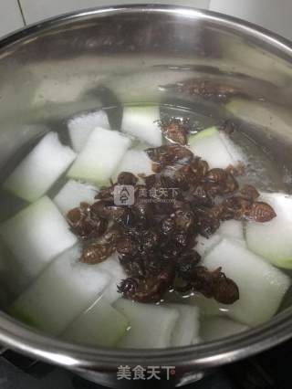 Cicada Shed Barley and Winter Melon Water recipe