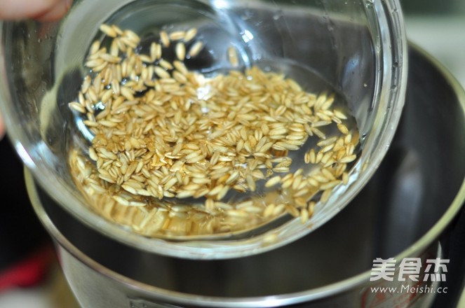 Shallot Oat Soy Milk recipe