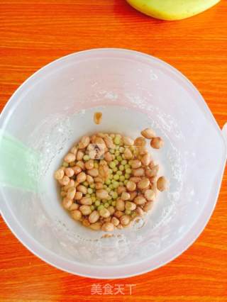 Peanut Soy Milk recipe