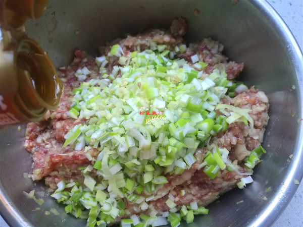 Beef and Cabbage Dumplings recipe