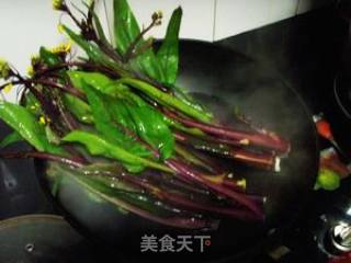 Eating Purple Rapeseed for The First Time---garlic Rapeseed recipe