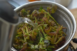 The Taste of Spring [tofu Mixed with Toon] recipe