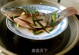 Tilapia Salad recipe
