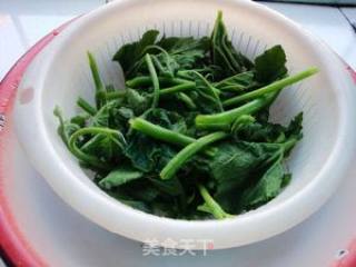 Stir-fried Pumpkin Vine with Garlic recipe