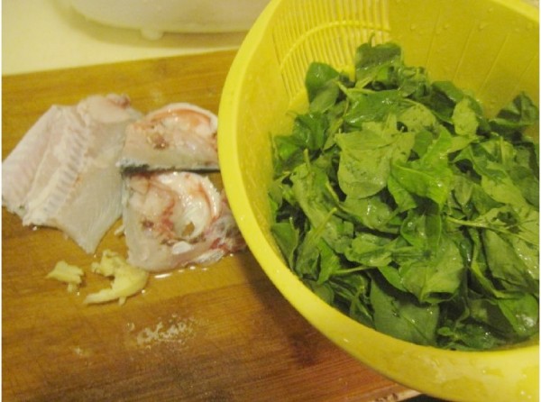 Tilapia and Wolfberry Leaf Soup recipe