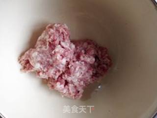 Su-style Mustard and Fresh Meat Mooncakes recipe