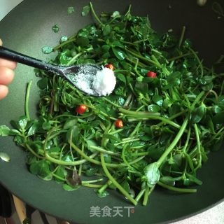 Stir-fried Wild Vegetables with Garlic recipe